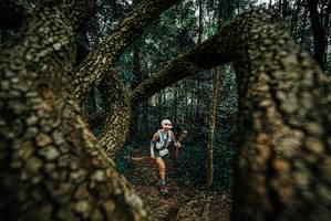 BIB: 
                            <button type="button" onclick="openModal(25672564)" class="btn btn-primary btn-sm float-right btn-popup" data-toggle="modal" data-target=".modal-high-quality">
                        <i class="fas fa-shopping-cart"></i> Add to Cart
                    </button>
                                            <button type="button" onclick="isThisMe(25672564, true)" class="btn btn-success btn-sm float-right btn-popup btn-isme hidden" data-toggle="tooltip" data-placement="bottom" title="นี่คือรูปของคุณใช่ไหม คลิกที่นี่เพื่อเอาเข้าอัลบั้ม">
                        <i class="fas fa-plus"></i> Add to album
                    </button>
                    <button type="button" onclick="isThisMe(25672564, false)" class="btn btn-warning btn-sm float-right btn-popup btn-isnotme hidden">
                        <i class="fas fa-ban"></i> Remove from album
                    </button>